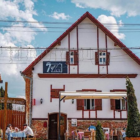 Pensiunea 7 Tei Cisnadioara Εξωτερικό φωτογραφία